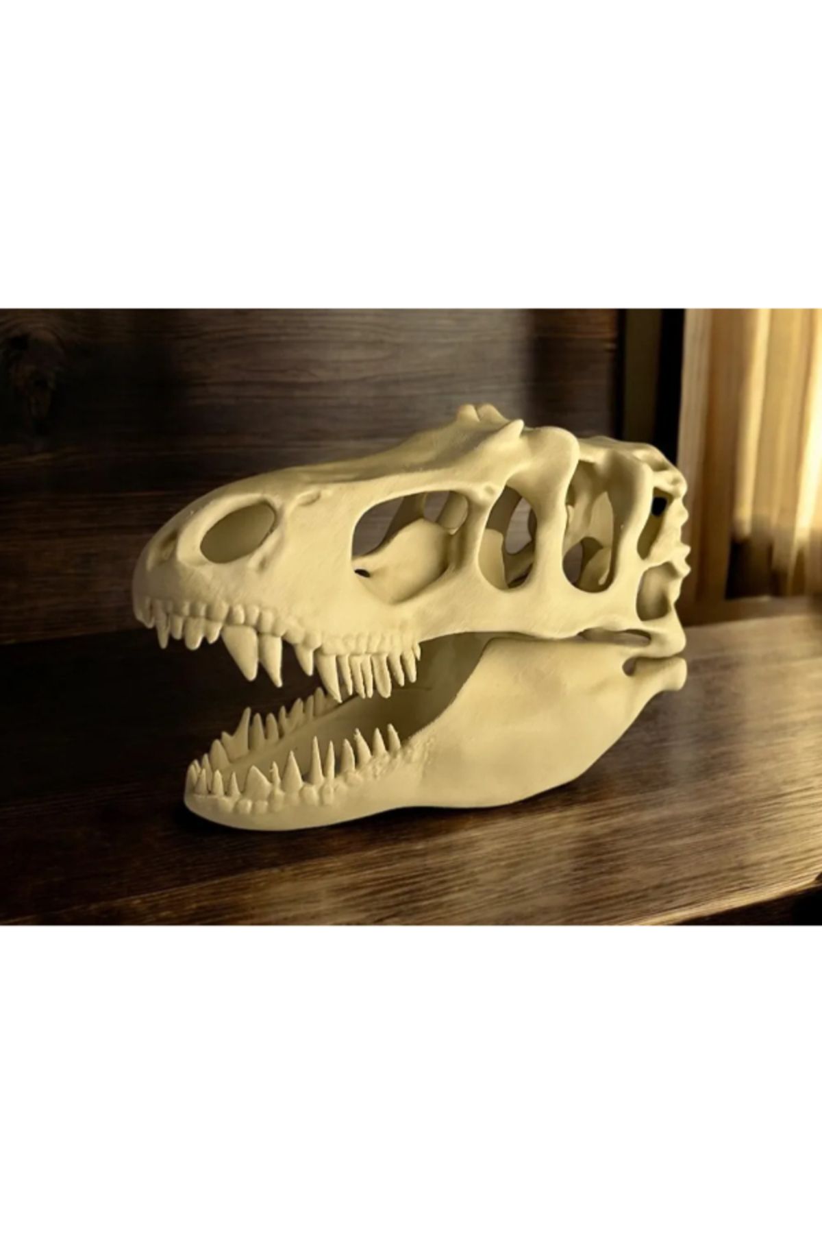 NOMOTHETIC T-Rex Kafatası – Dekoratif Fosil Modeli
