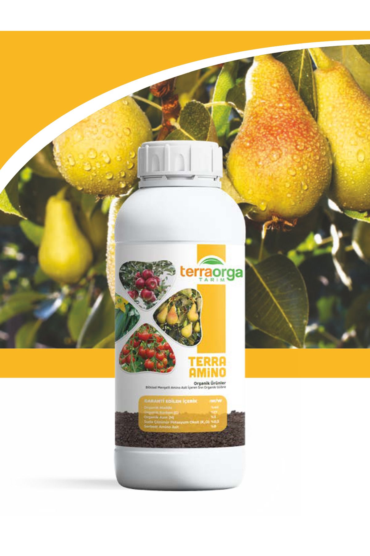 TerraOrga TERRAORGA1ltSET