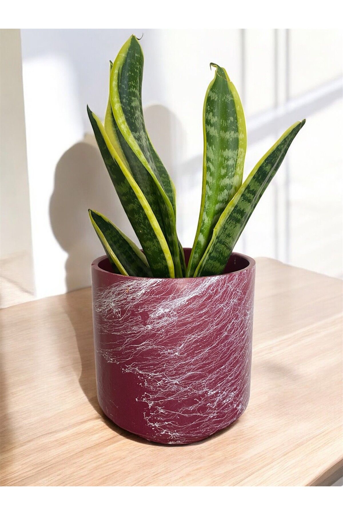 LİLYA Yuvalak Toprak Saksı, Boy 16 cm Çap 14 cm