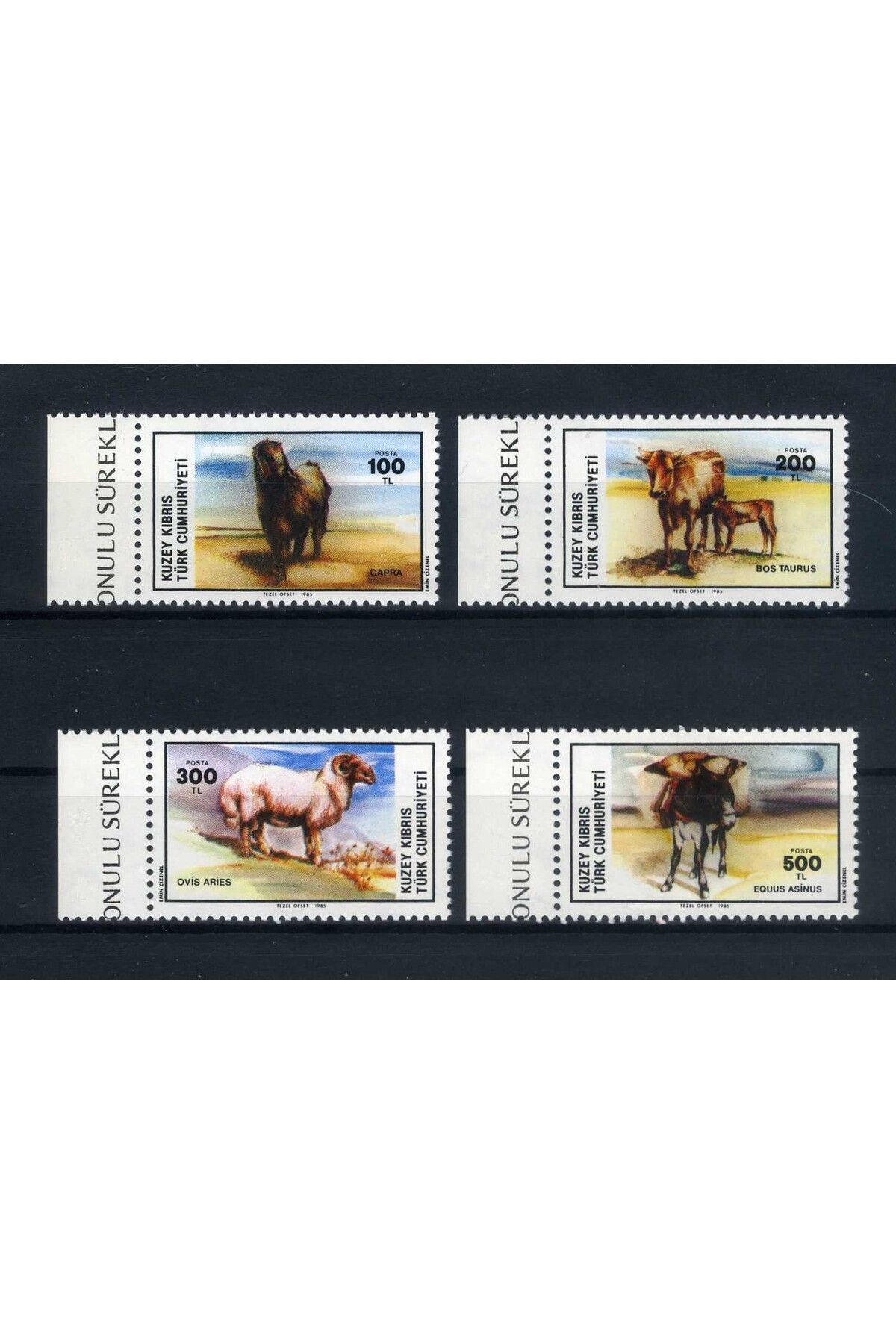 Jupiter Stamps Koleksiyon Pulları, Kuzey Kıbrıs Evcil Hayvanlar Anı Serisi,Konsept Hediyelik,Hobi,ASB-9334765