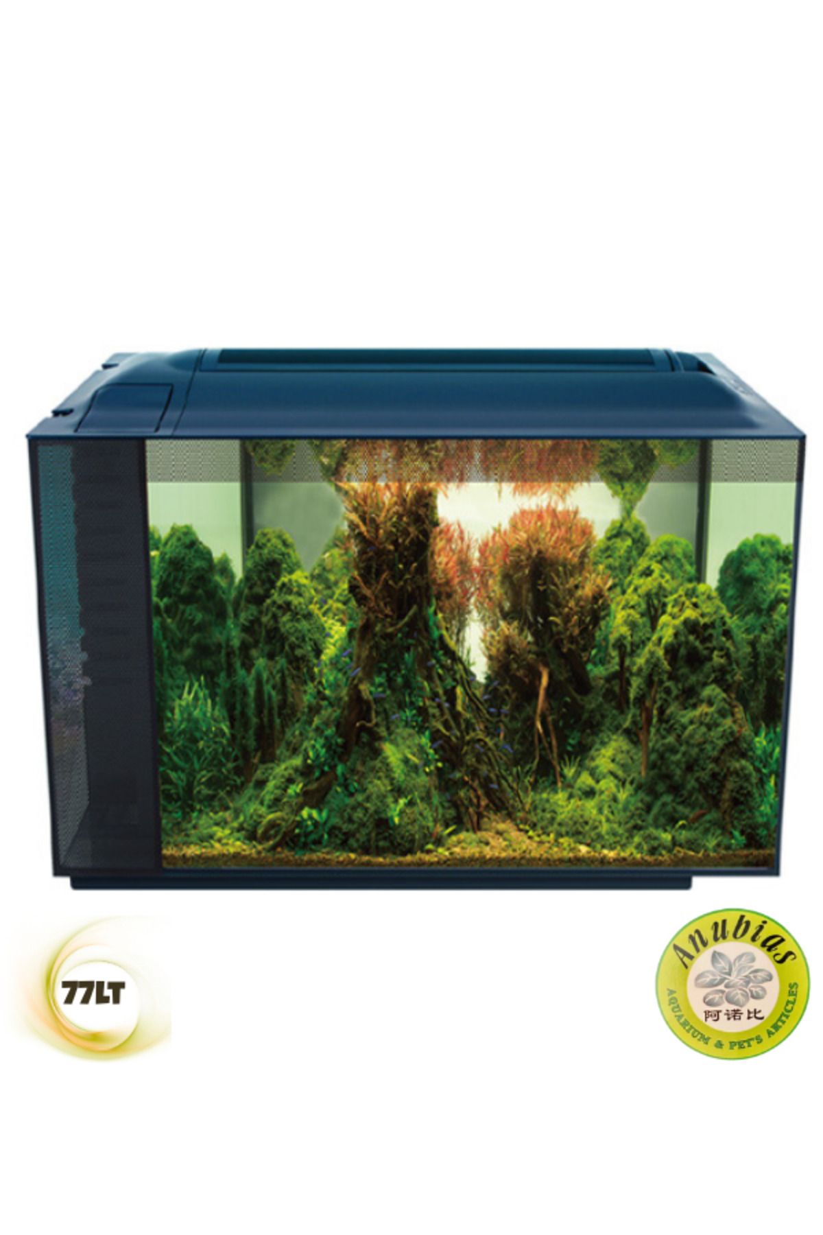 ANUBIAS AQUARIUM LIVE PLANTS Anubias Pleco 55 Nano Akvaryum Siyah 55,5 x 29,5 x 44 Cm