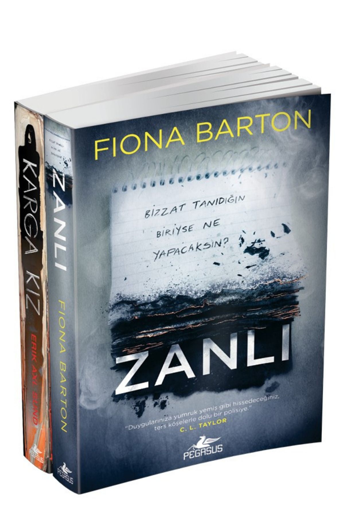 Pegasus Yayınları Zanlı Ve Karga Kız - Psikolojik Gerilim Romanları Takım Set (2 Kitap) | Fiona Barton & Erik Axl Sund