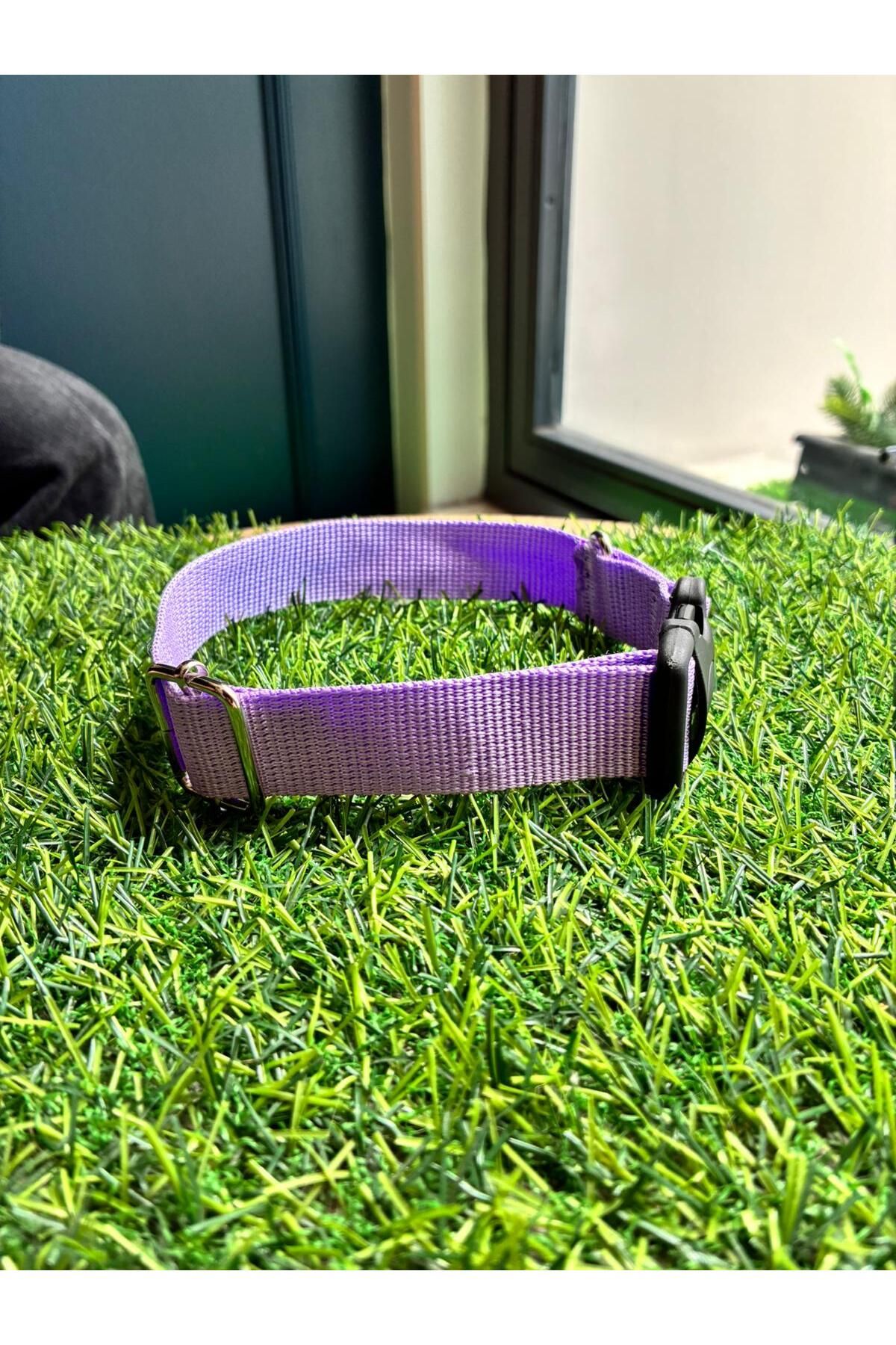 Celenia Store Ayarlanabilir Tokalı Köpek Boyun Tasması