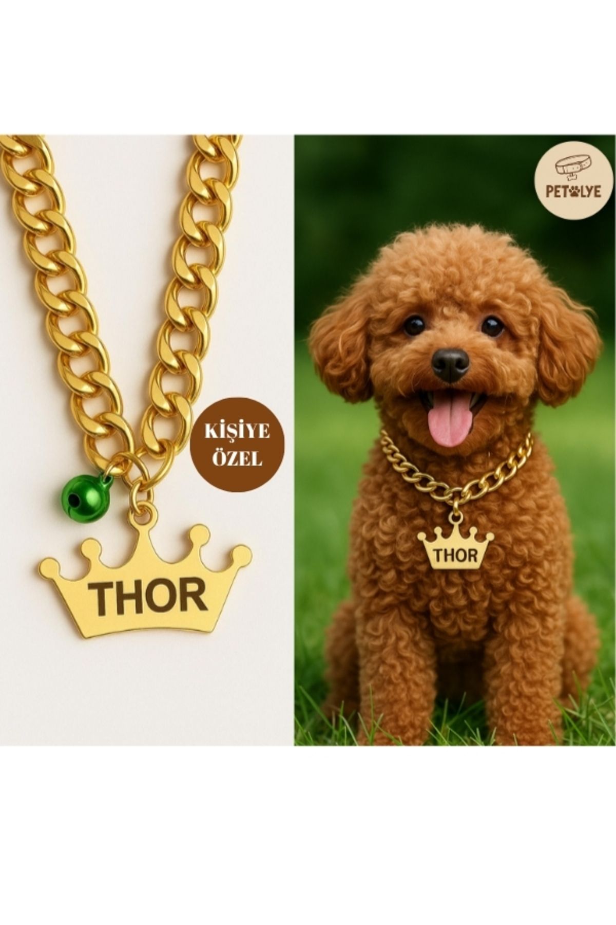 Petölye İsimli Köpek Tasması Köpek Isimlik Gold(ALTIN) Pleksi Künye, Paslanmaz Metal Zincir Tasma