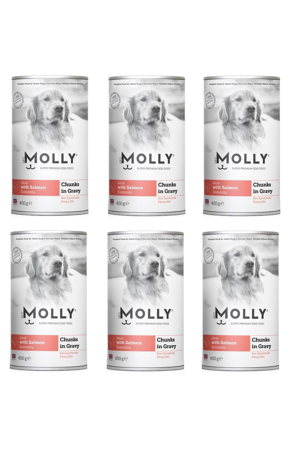 Molly Somonlu Soslu Köpek Konservesi 400 Gr X 6 Adet