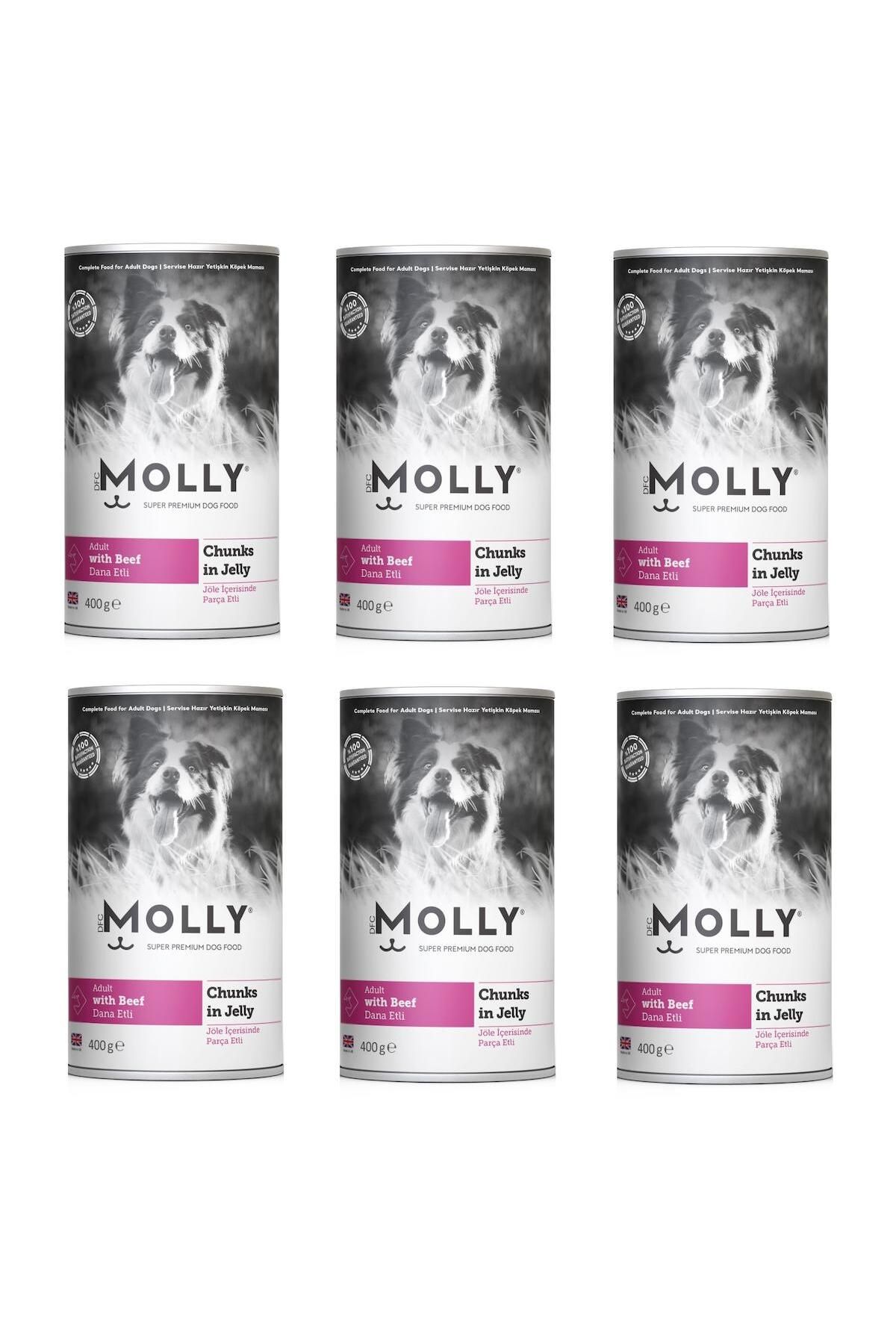 Molly Dana Etli Jöleli Köpek Konservesi 400 Gr X 6 Adet