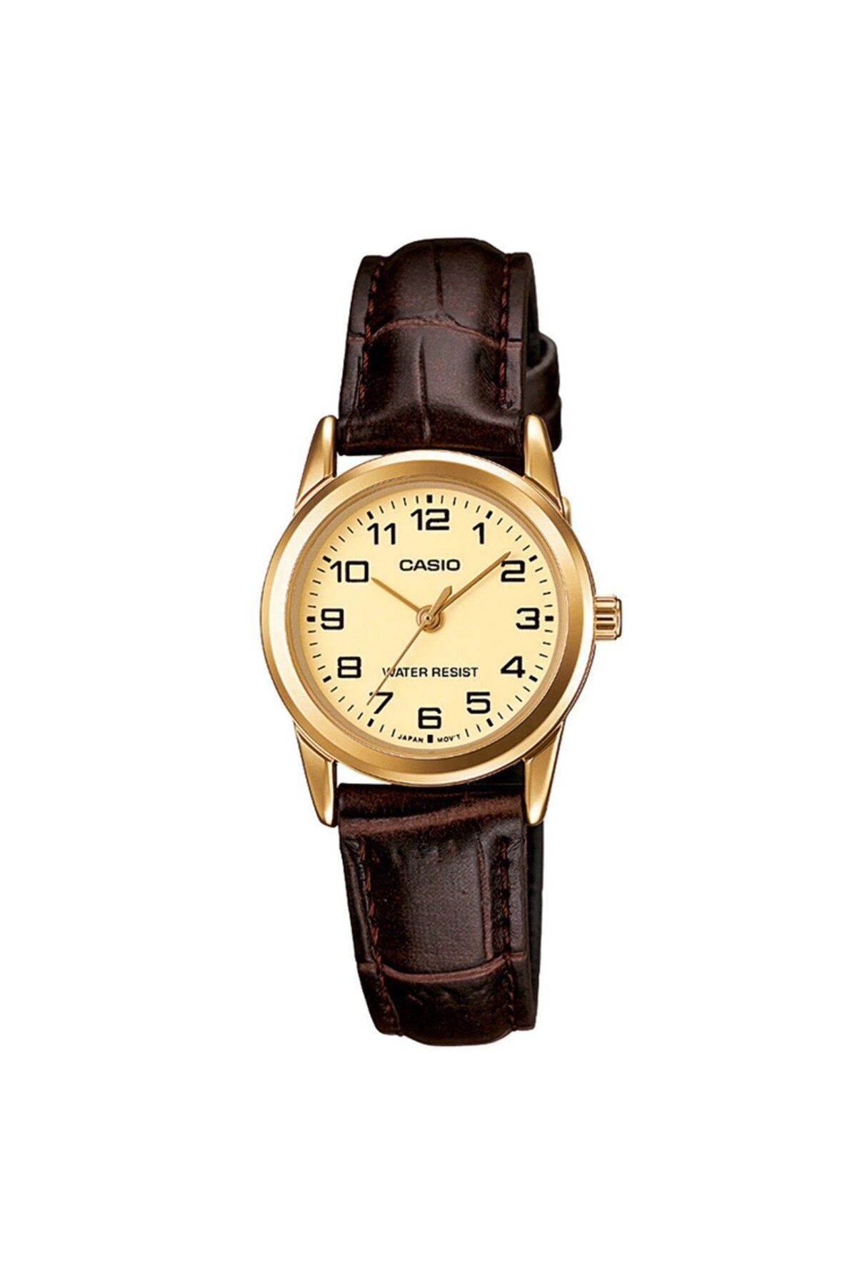 Casio-Ceas Dama, Casio, Collection LTP-V0 LTP-V001GL-9B 1