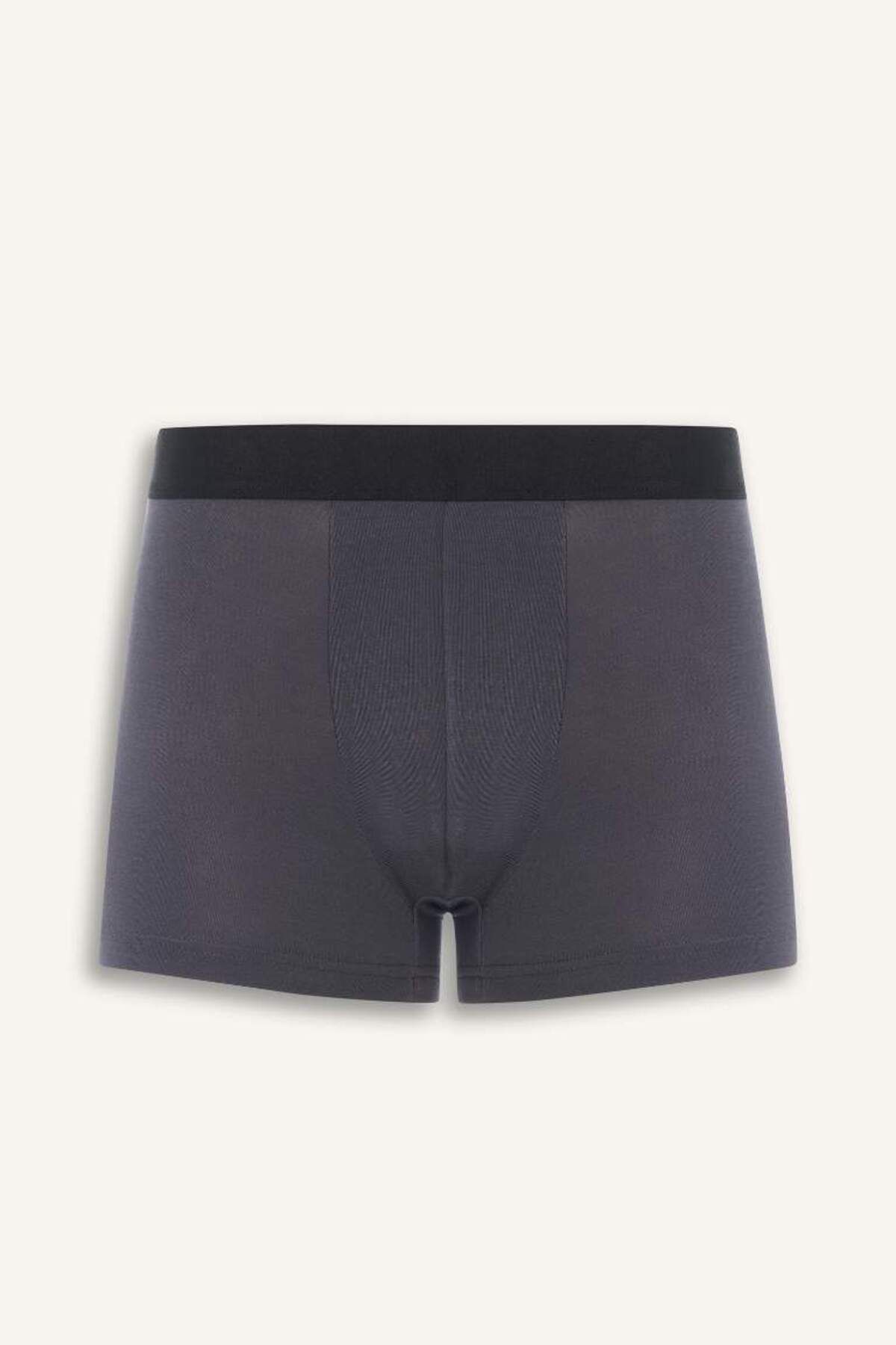 DeFacto Yeni Sezon Premium Regular Fit Modal Boxer