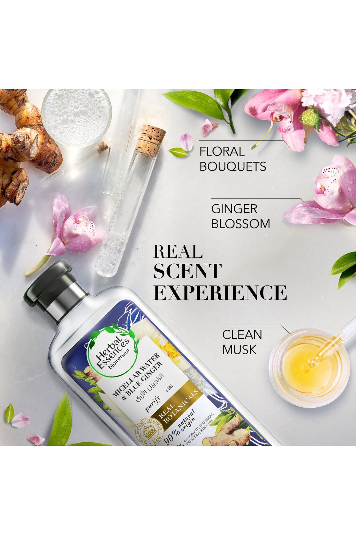 Herbal Essences-Renew Micellar Water And Blue Ginger Shampoo 400 ml Gentle Cleansing, Scalp Detox & Refresh 4