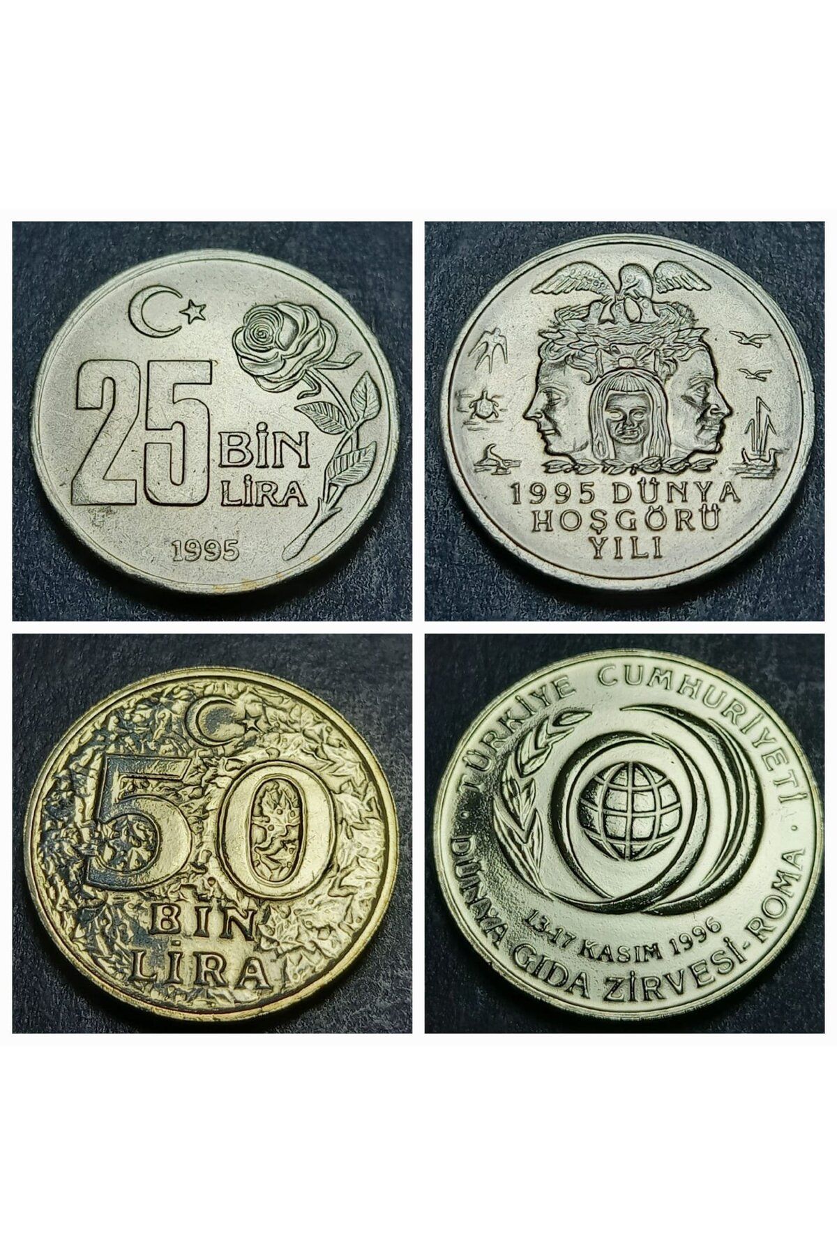 escoines koleksiyon 39963683a491d0b087 1995/1996 Hatıra FAO Darphane Tedavül Setinden 25/50 Bin ÇİL