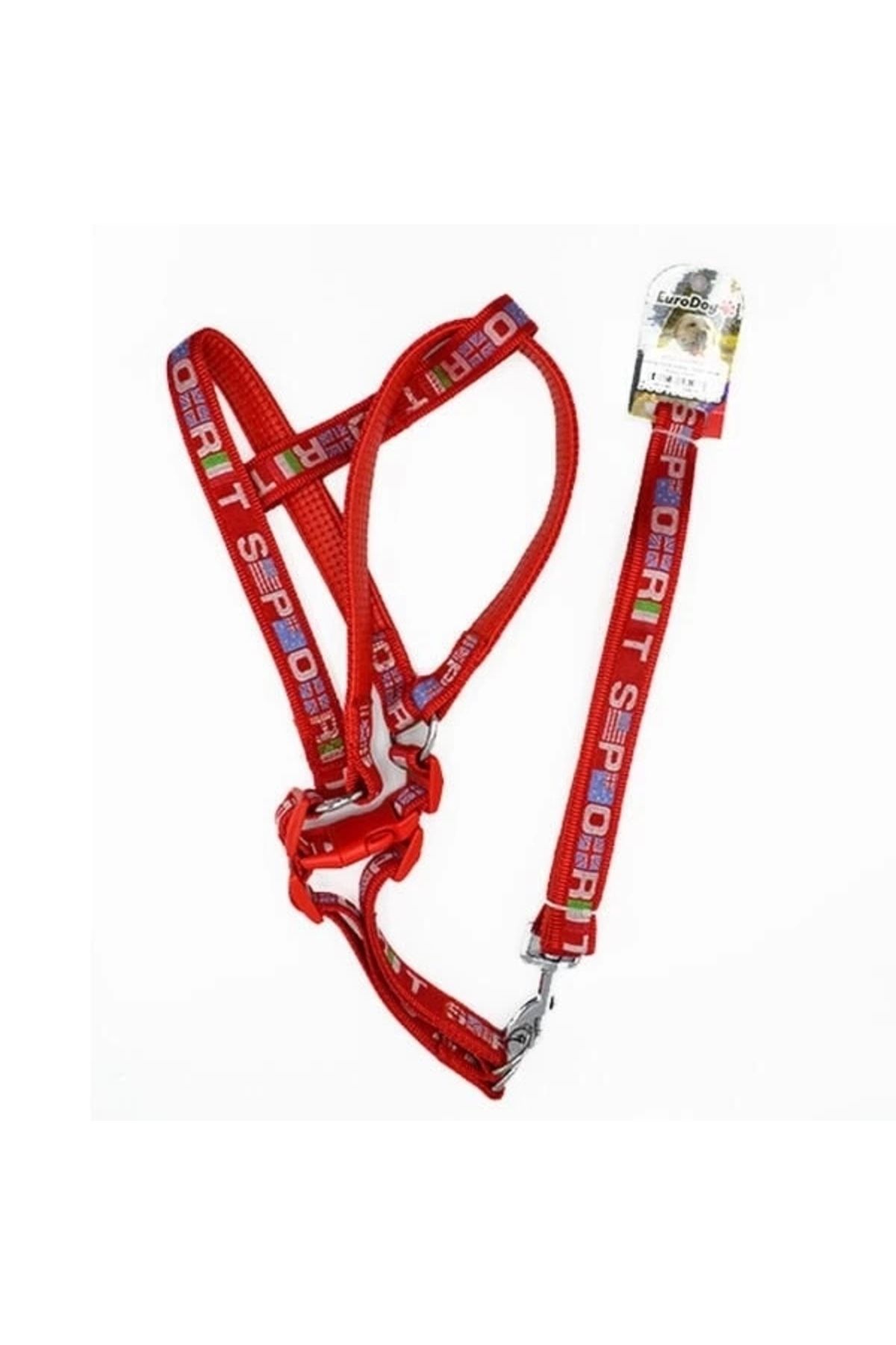 YNT İthalat Euro Dog Köpek Uzatma Tasması ve Göğüs Tasması Takımı Kırmızı 22 Mm 120 Cm