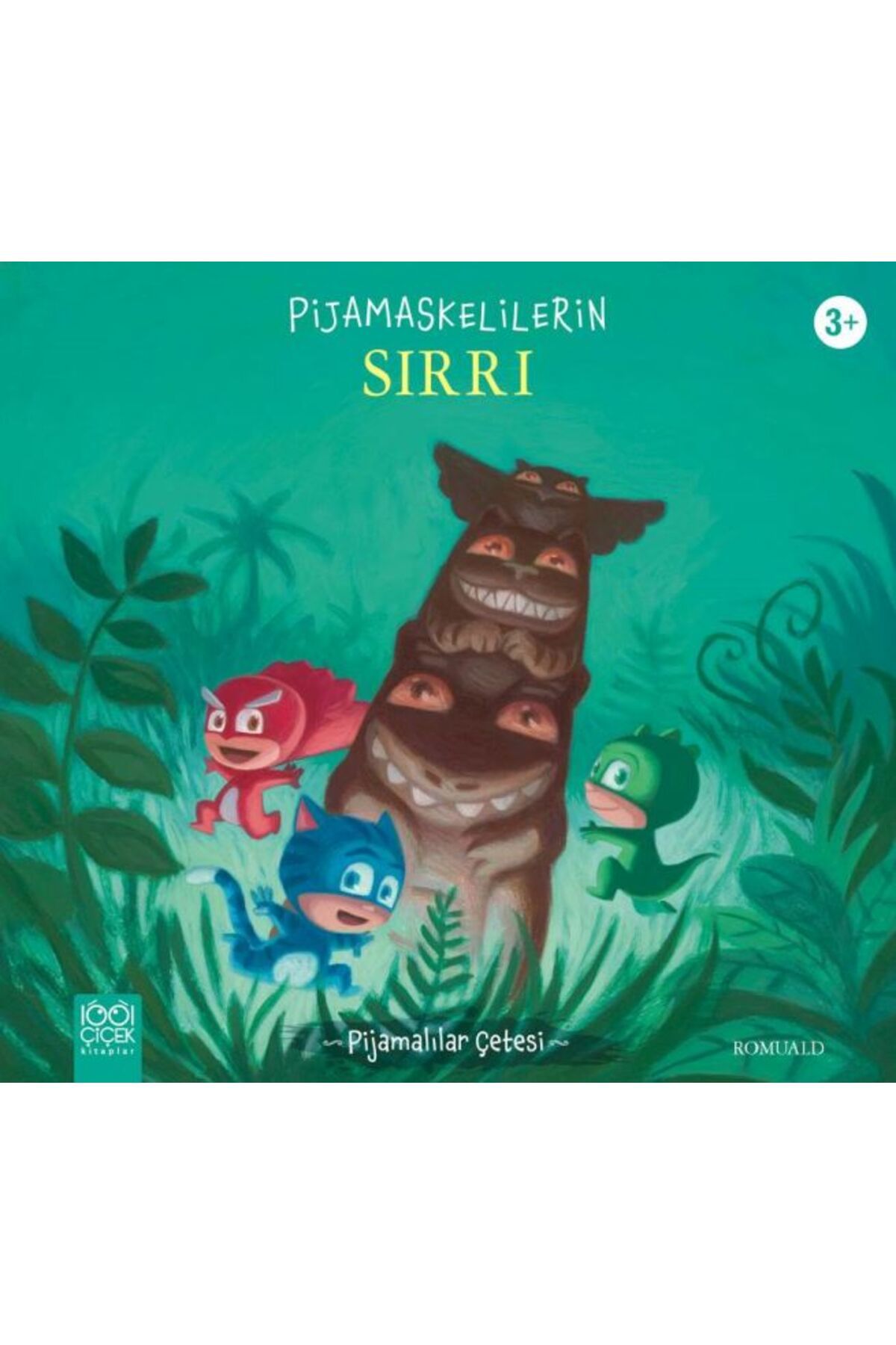 1001 Çiçek Kitaplar Pijamaskelilerin Sırrı