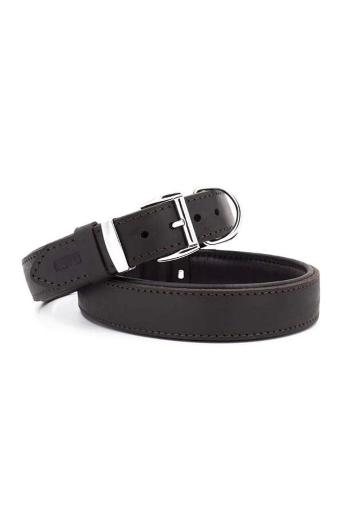 YNT İthalat Doggie Yağlı Deri Köpek Boyun Tasması Medium Kahverengi 3x42-50 Cm