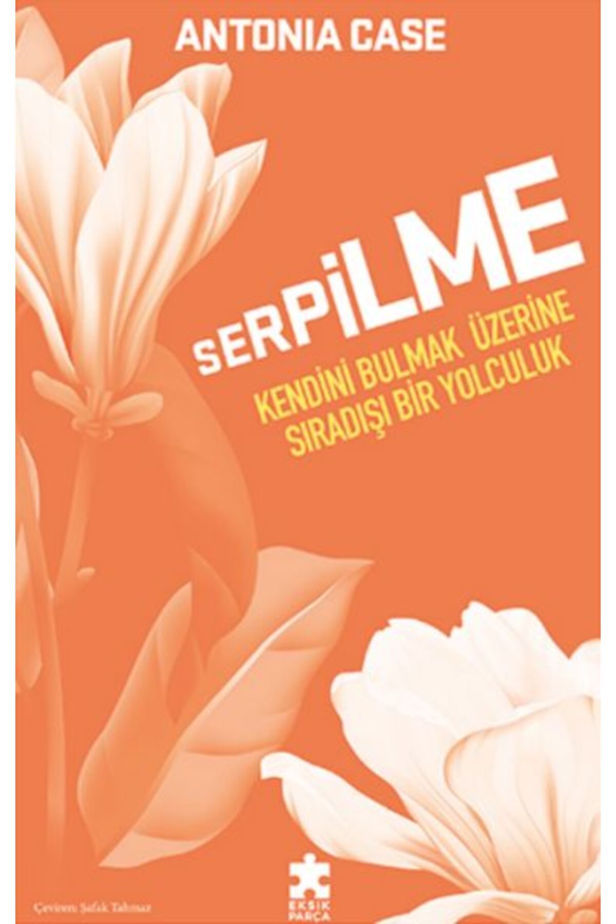 Destek Yayınları Serpilme: Kendini Bulmak Üzerine Sıradışı Bir Yolculuk