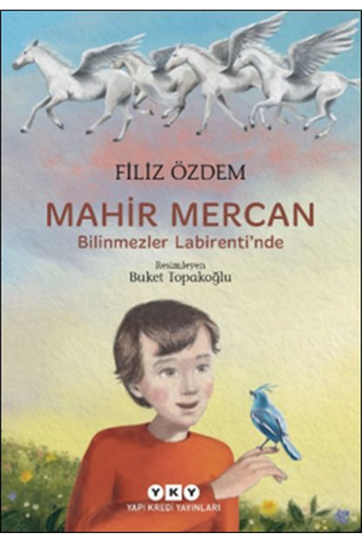 Destek Yayınları Mahir Mercan - Bilinmezler Labirenti’nde