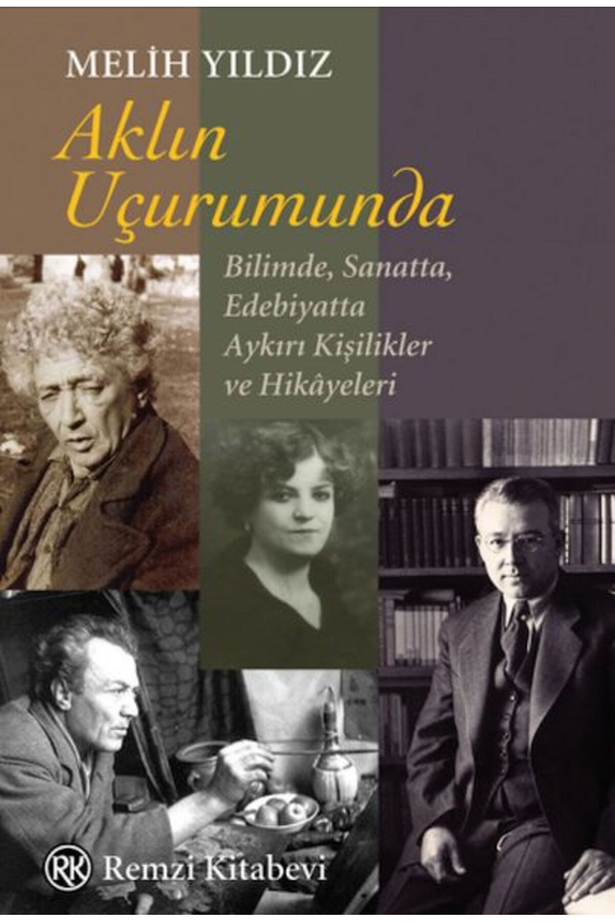Destek Yayınları Aklın Uçurumunda