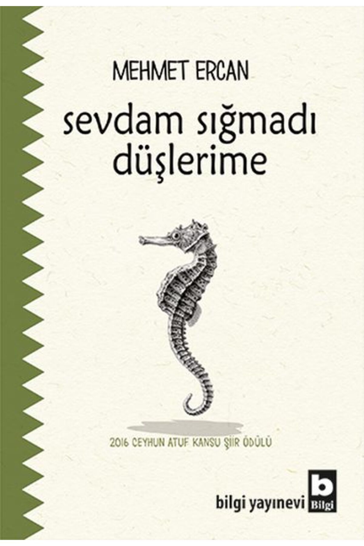 Bilgi Yayınevi Sevdam Sığmadı Düşlerime