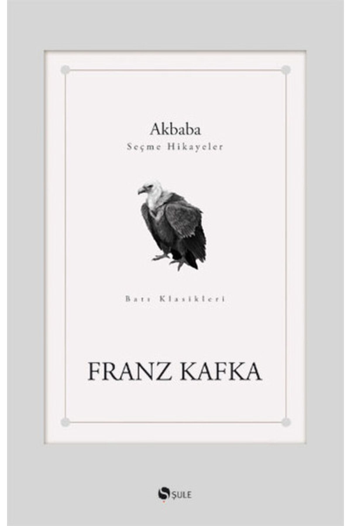 Şule Yayınları Akbaba
