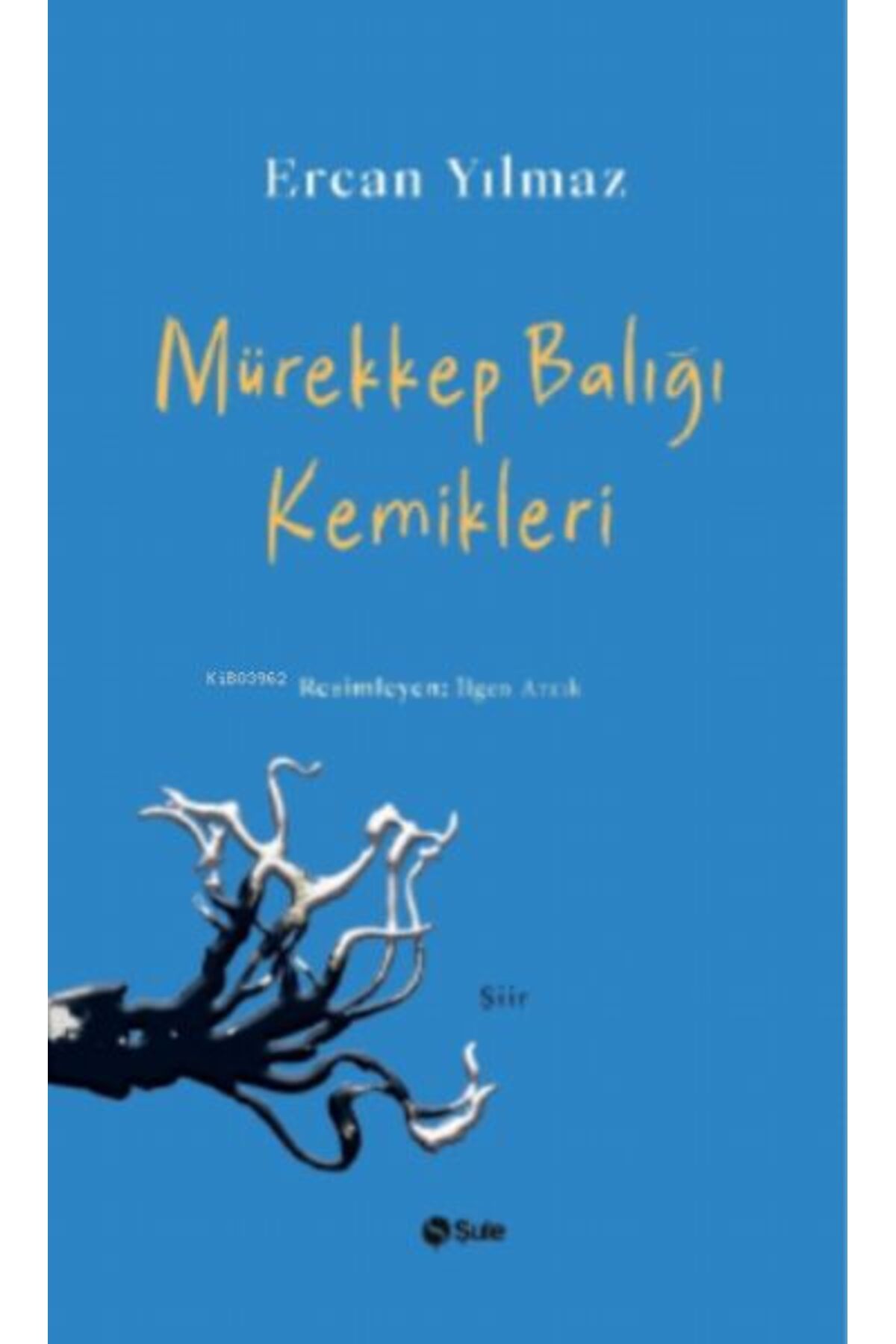 Şule Yayınları Mürekkep Balığı Kemikleri