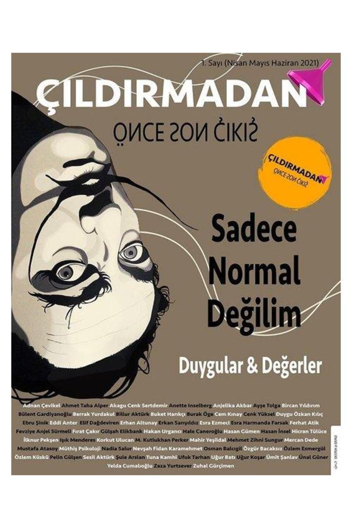 Destek Yayınları Çıldırmadan Önce Son Çıkış 1 Sadece Normal Değilim