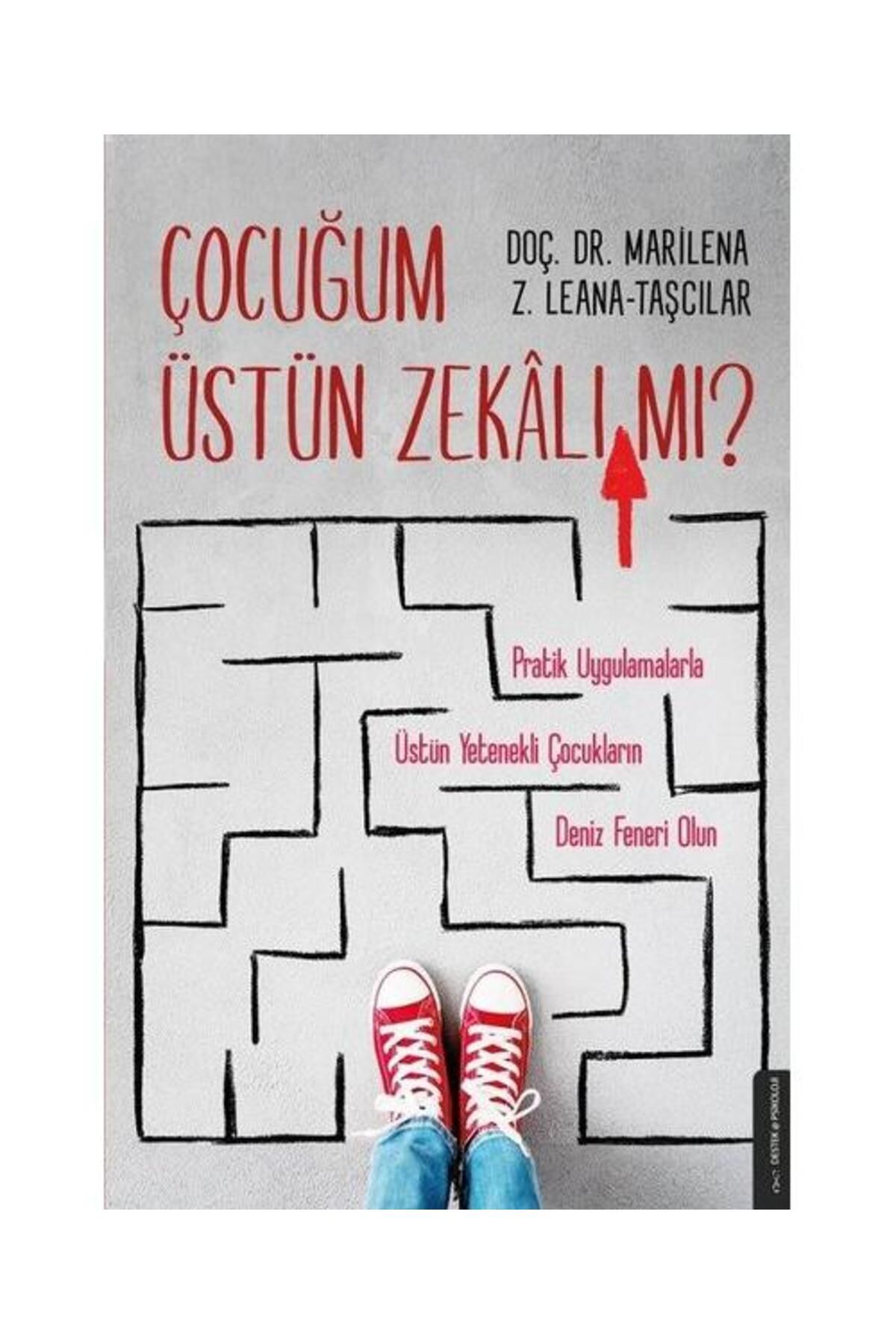 Destek Yayınları Çocuğum Üstün Zekalı mı?