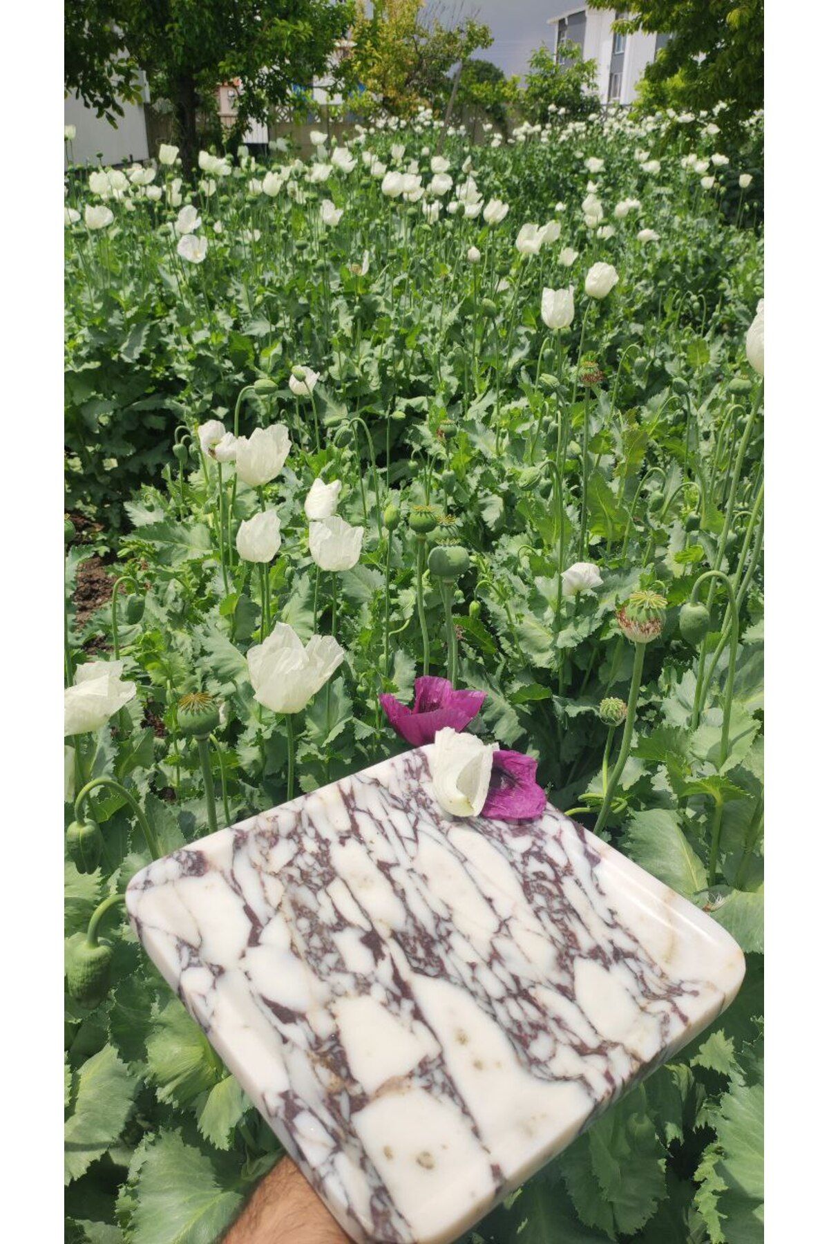 adomarmarblehandmadeandluxury Calacatta Viola Tepsi | 28x28 cm Mermer Organizer & Sunum Tepsisi, Lüks Mermer Organizer