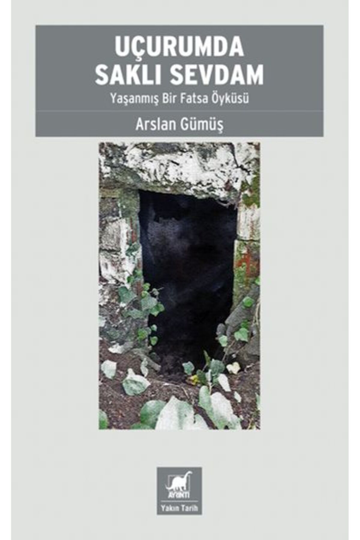 Ayrıntı Yayınları Uçurumda Saklı Sevdam