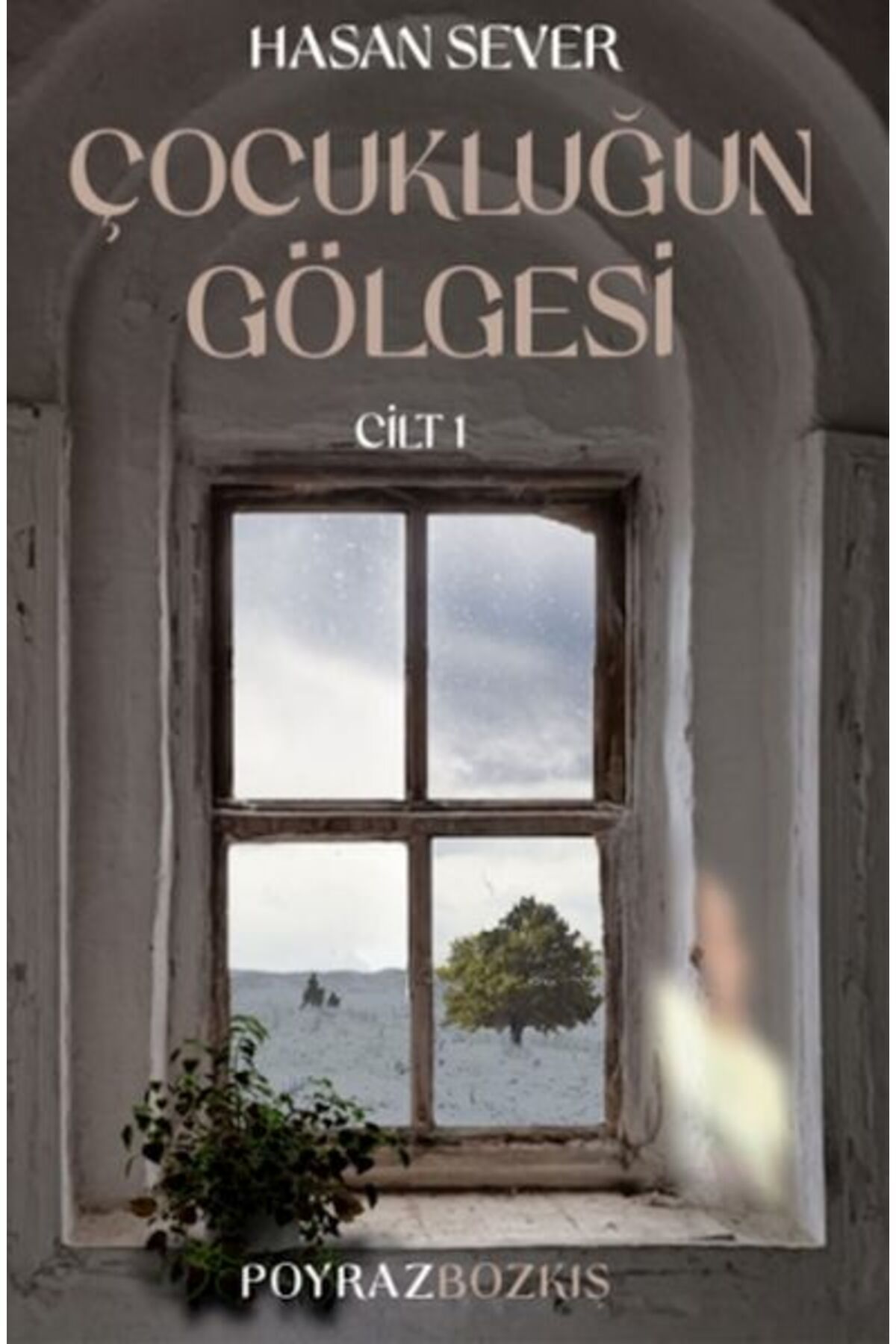 Ayrıntı Yayınları Çocukluğun Gölgesi Birinci Cilt: Poyraz & Bozkış