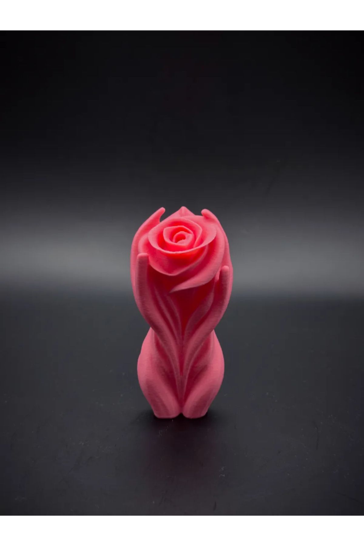 NOMOTHETIC A Special Rose – Dekoratif Özel Gül Tasarımı