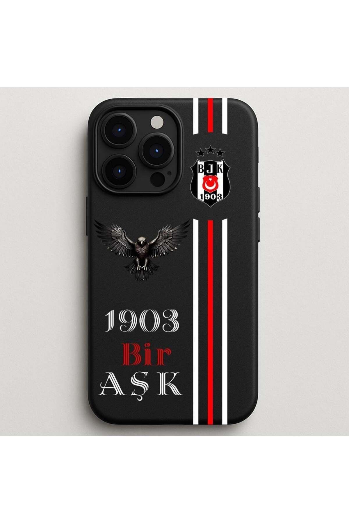 DEMİNA iPhone 16 Uyumlu Kartal Bir Aşk Tasarım Baskılı Lansman Kılıf