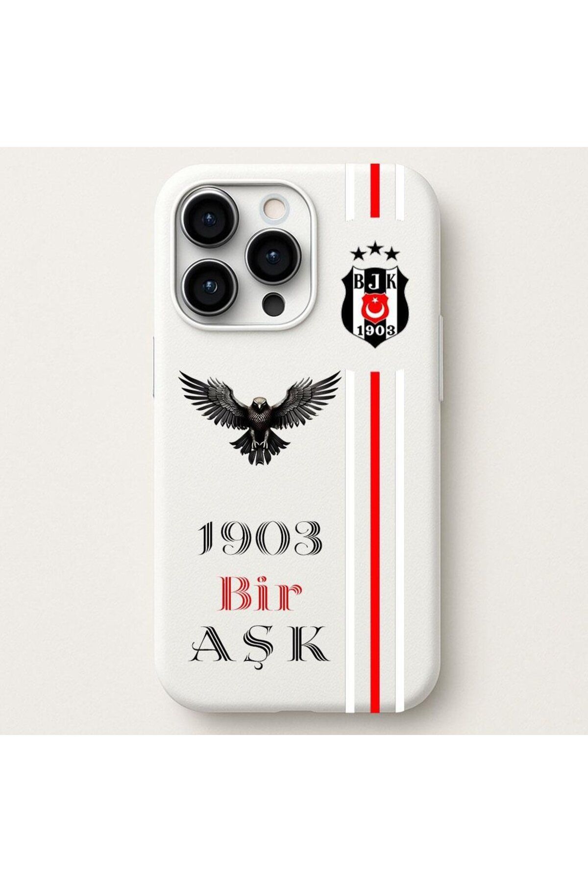DEMİNA iPhone 11 Pro Uyumlu Kartal Bir Aşk Tasarım Baskılı Lansman Kılıf