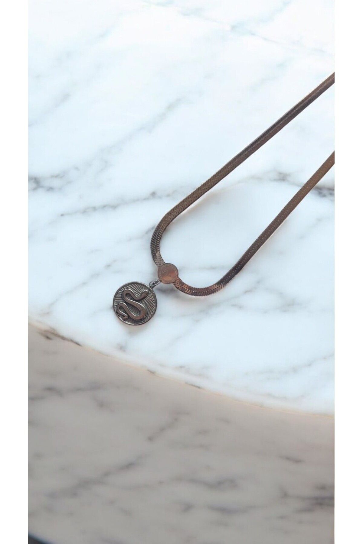 NOVA JEWELLERY Ezme Zincir Yılan Detaylı Paslanmaz Çelik Kolye |STEEL NECKLACE