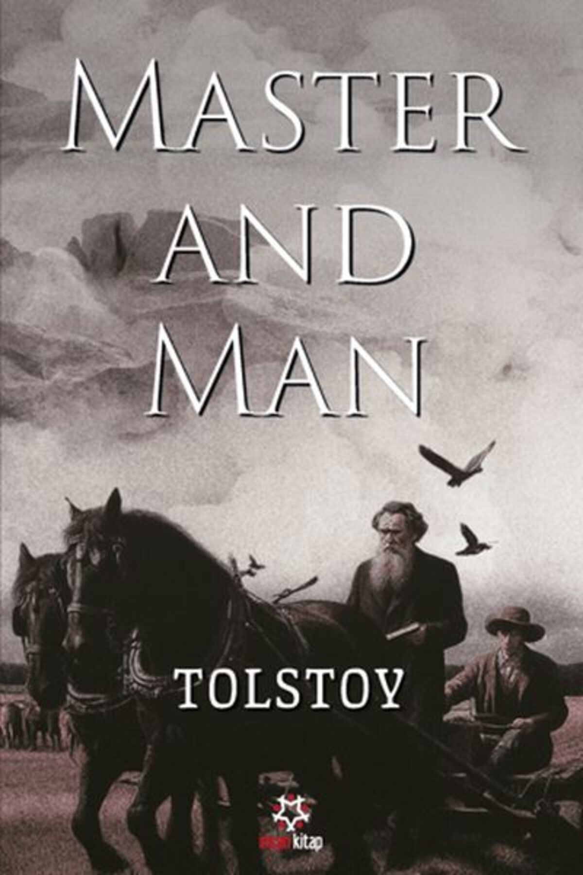 İnsan Yayınları Master and Man