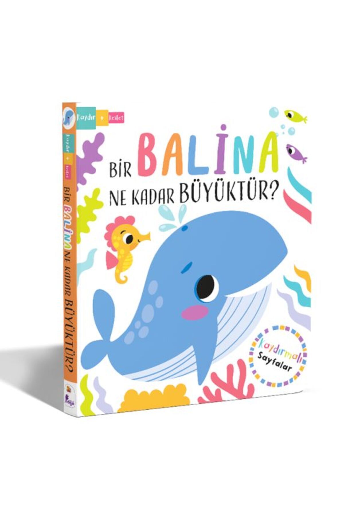 İndigo Kitap Bir Balina Ne Kadar Büyüktür? – Kaydır + Keşfet