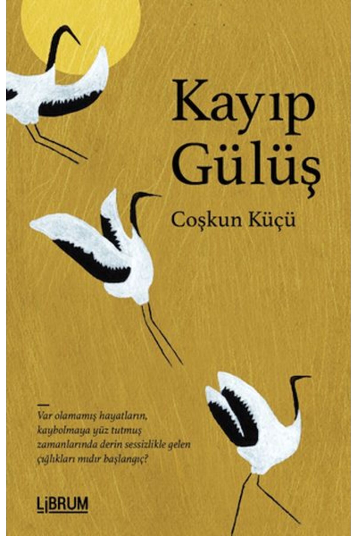 Librum Kitap Kayıp Gülüş