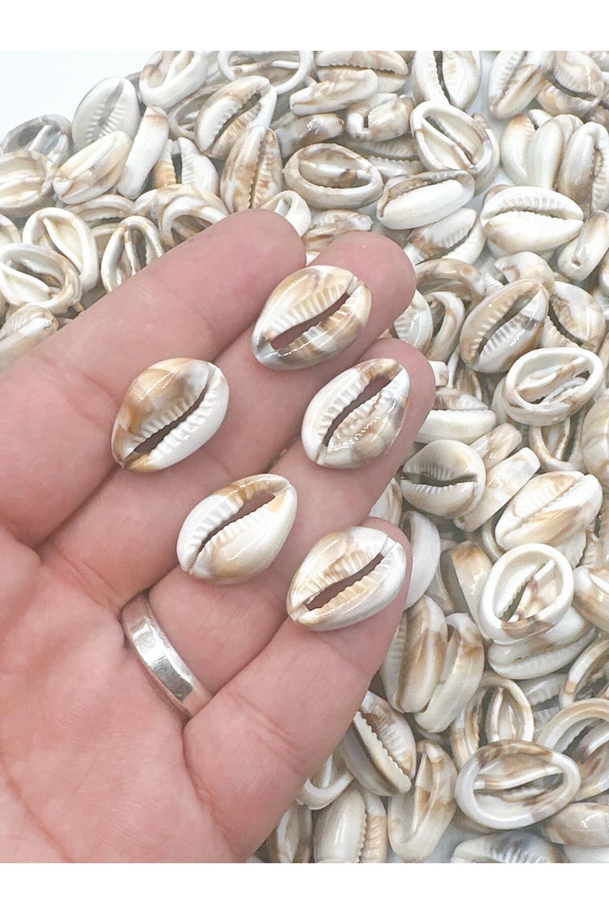 E.B EBRULİ BONCUK 12 mm Renkli ve Doğal Görünümlü Akrilik Deniz Kabuğu Boncuklar (50 gr)