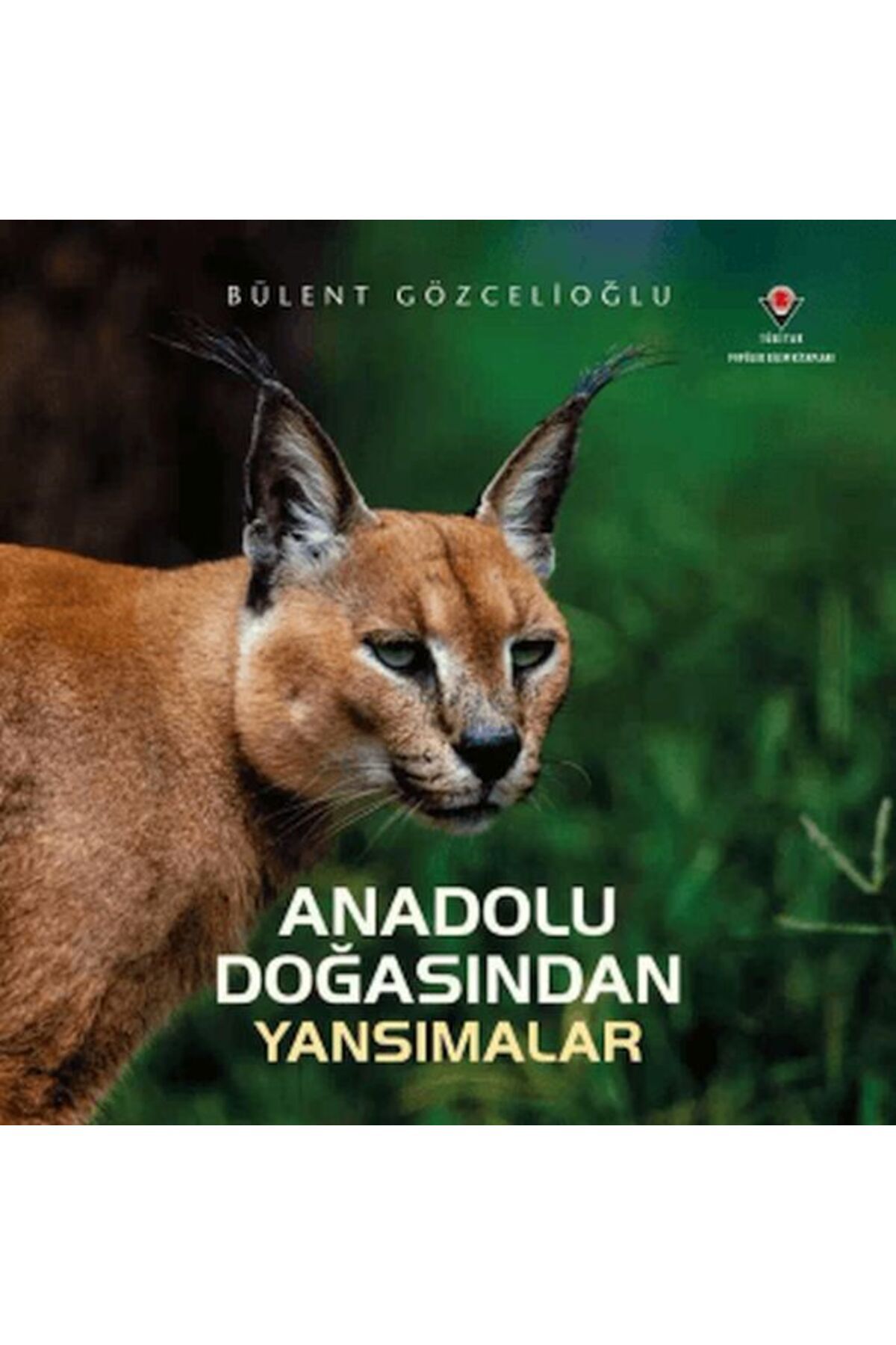 Hak Yayınları Anadolu Doğasından Yansımalar