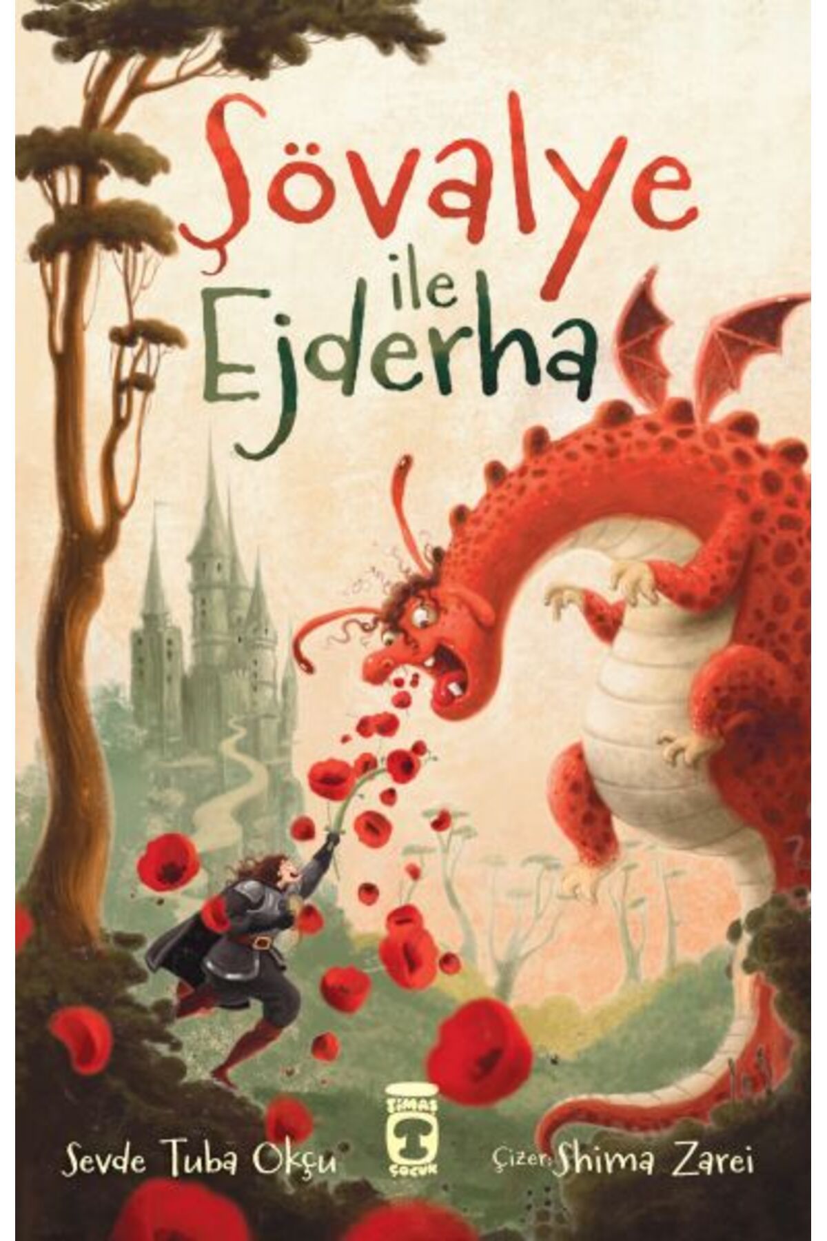 Hak Yayınları Şövalye ile Ejderha
