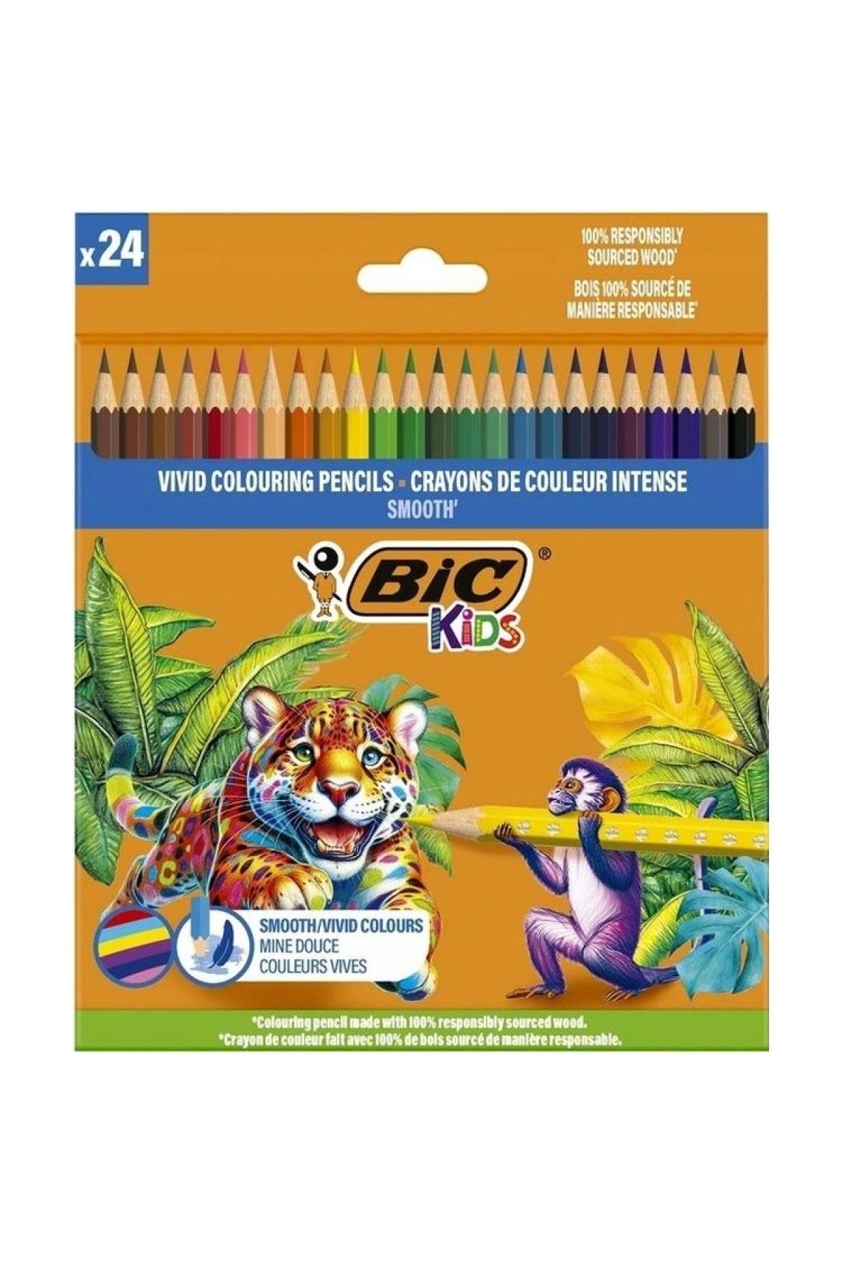 Bic Kids Smooth Tam Boy Kuru Boya 24'lü - 525787