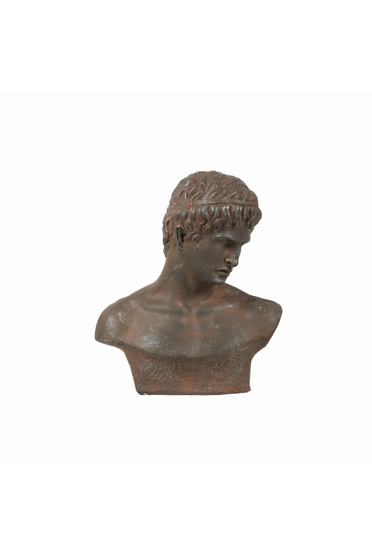 JASMIN CONCEPTS Atticus Büst 48X23X57 cm