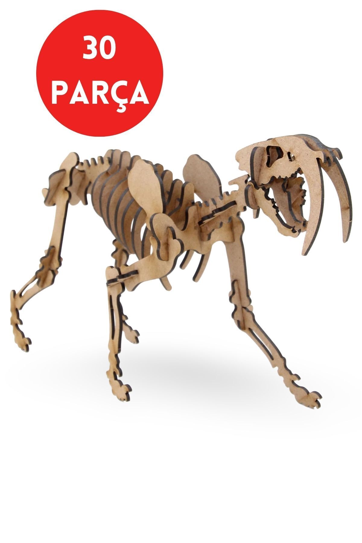 ALGWOOD 30 Parça Sabertooth Ahşap İskelet Maketi - Ahşap Sabertooth Figürü - 3D Puzzle