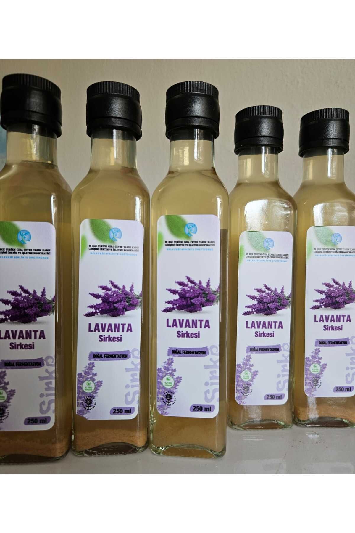 EGEKADINKOOP LAVANTA SİRKESİ 250 ml