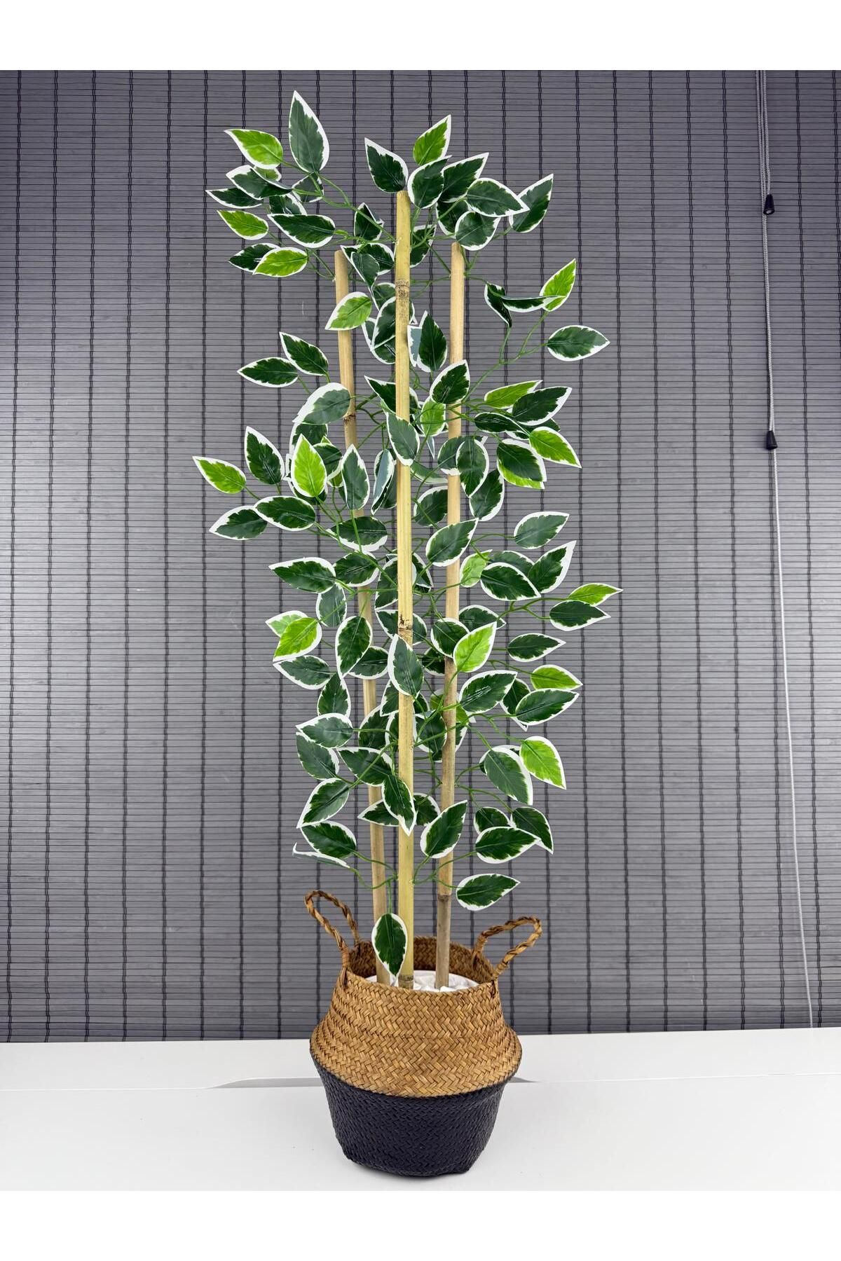 Bahçem Dekoratif Yapay Yapraklı Natural-Siyah Hasır Bambu Sepetli Dekoratif Benjamin Ağacı 100cm