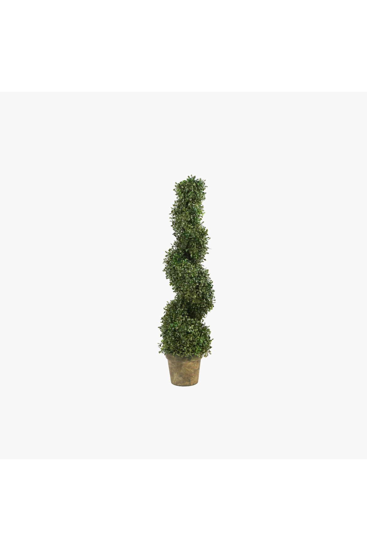 JASMIN CONCEPTS Saksılı Boxwood Ağaç Spiral 19X19X89cm