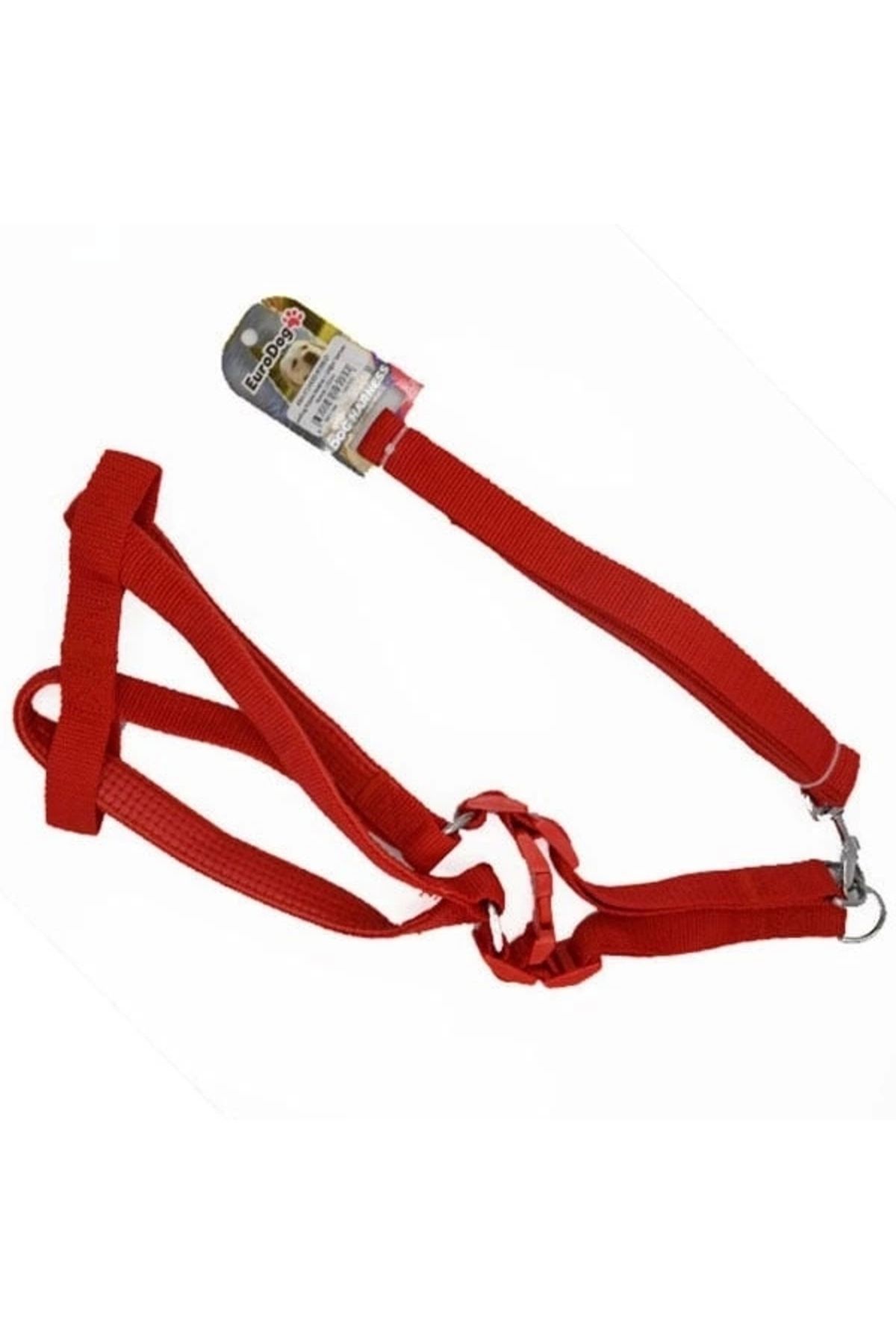 ShopNova a Tasması ve Göğüs Tasması Takımı Kırmızı 20 Mm 120 Cm