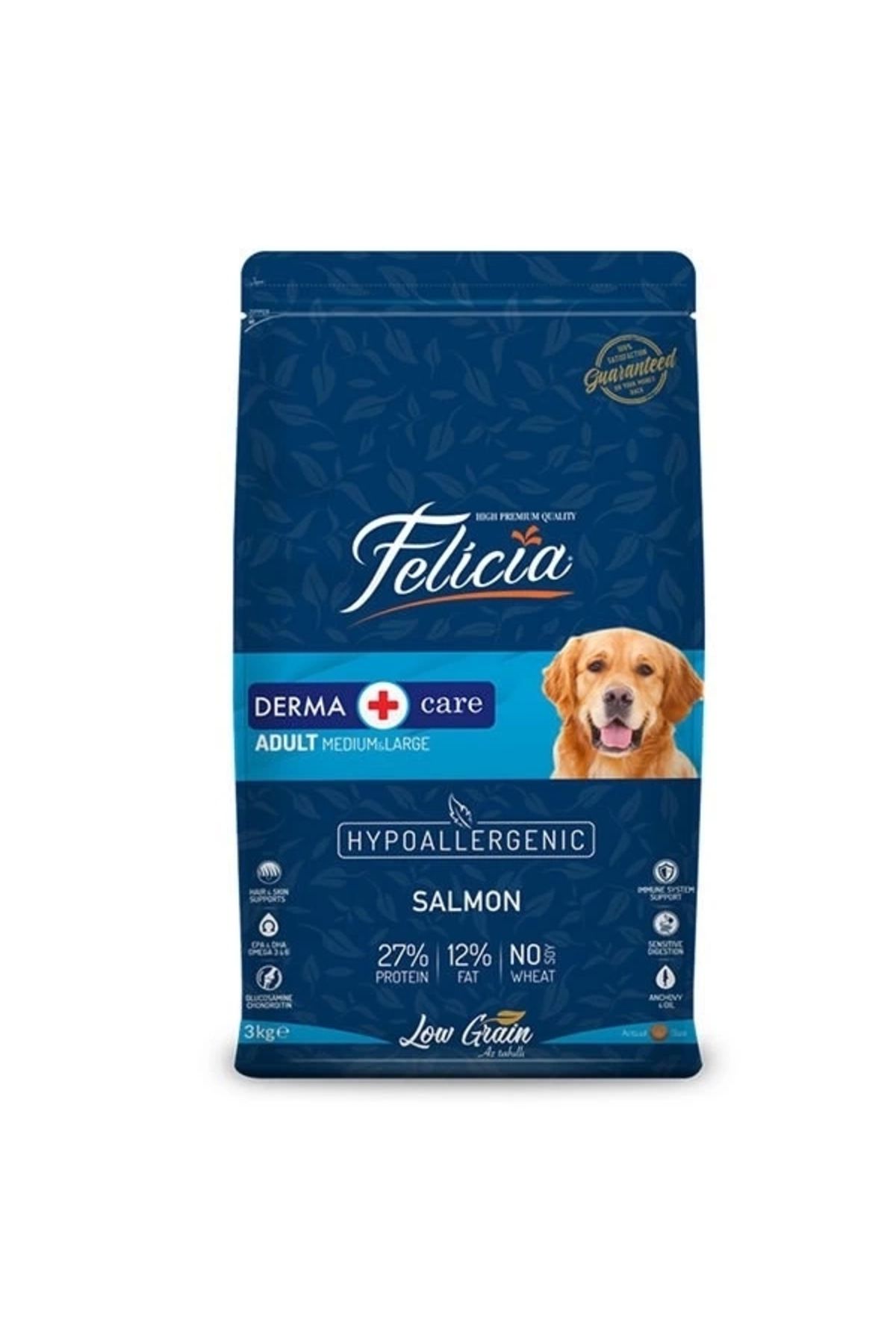 ShopNova Felicia Düşük Tahıllı Hipoalerjenik Somonlu Orta ve Büyük Irk Yetişkin Köpek Maması 3 Kg