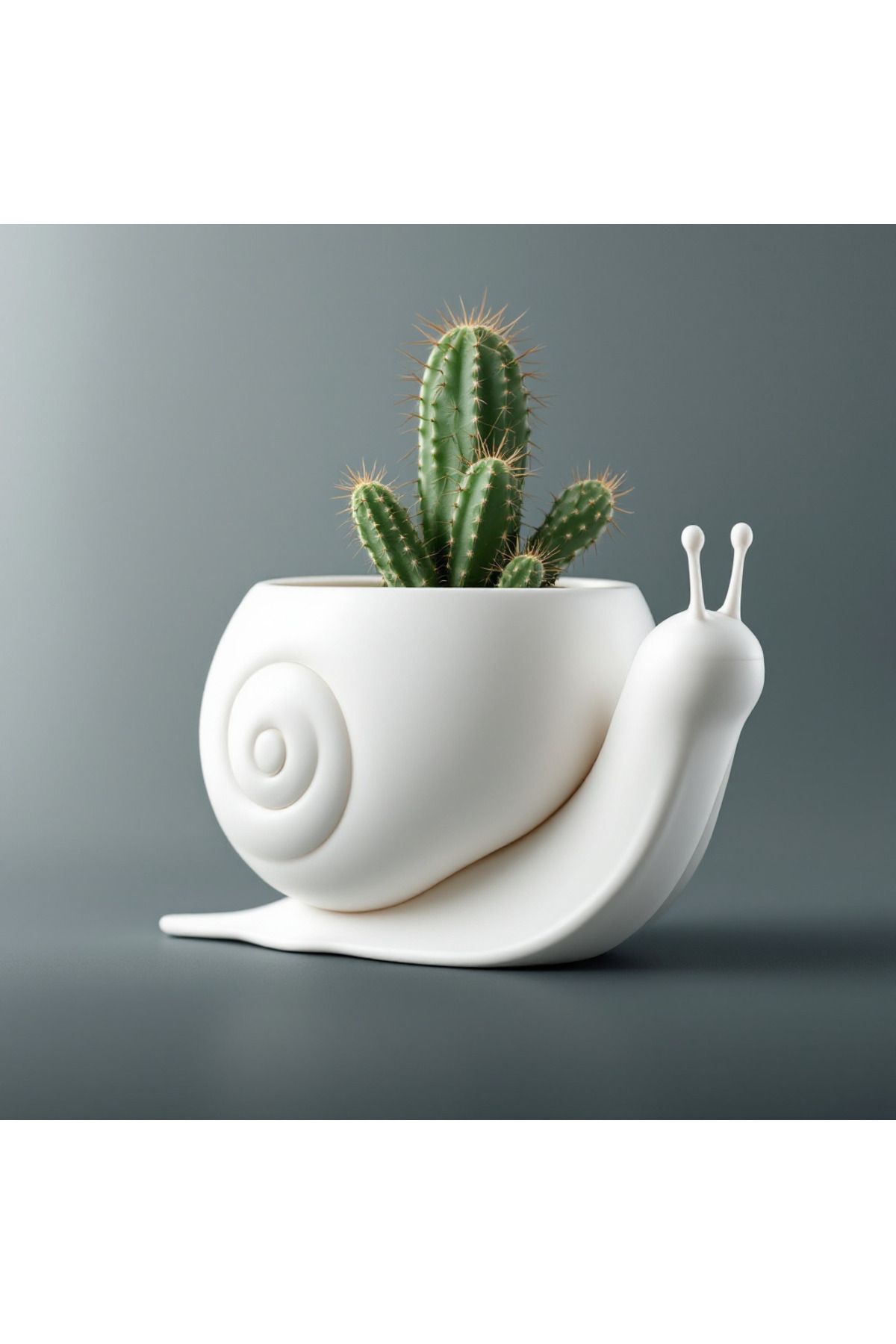 printastic Salyangoz Kaktüs Saksı Home Dekor