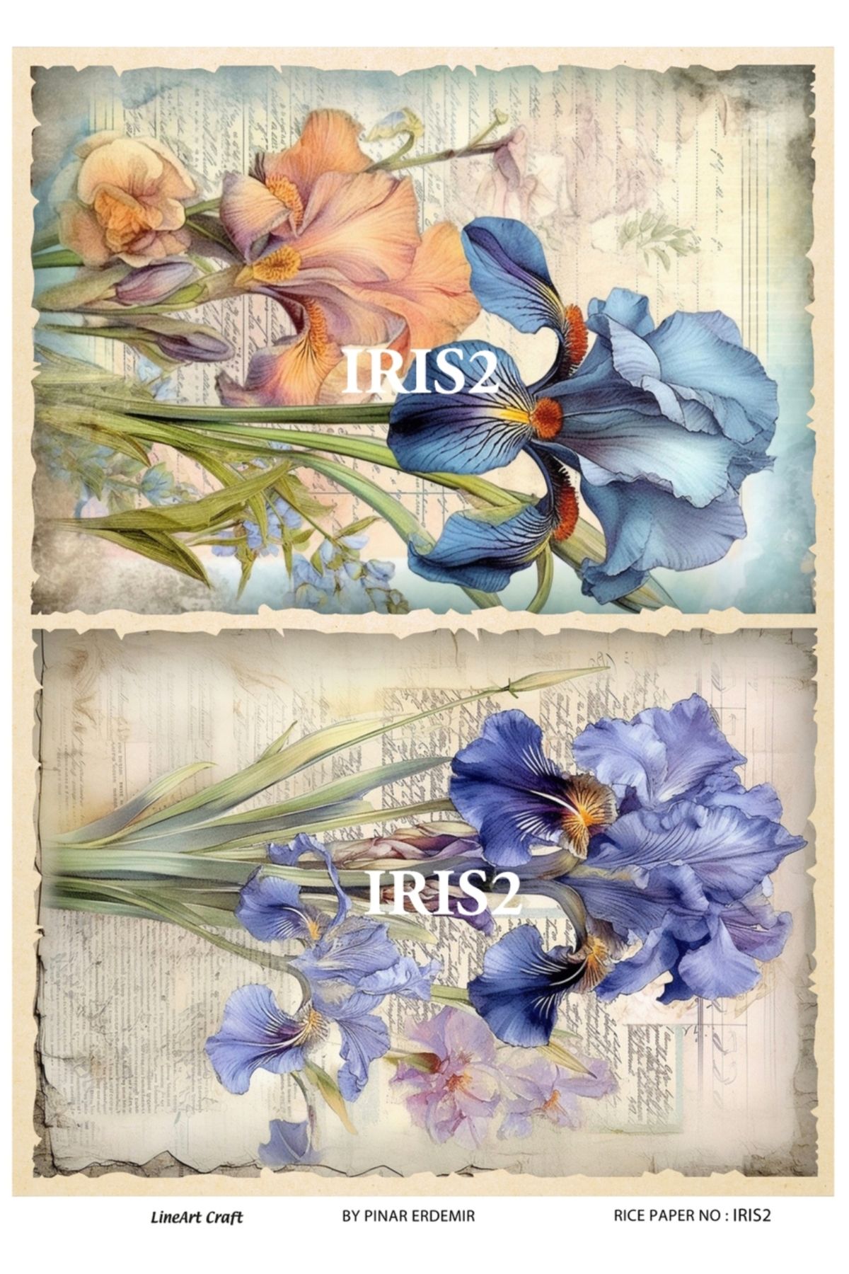 LİNEART PİRİNÇ DEKOPAJ IRIS2