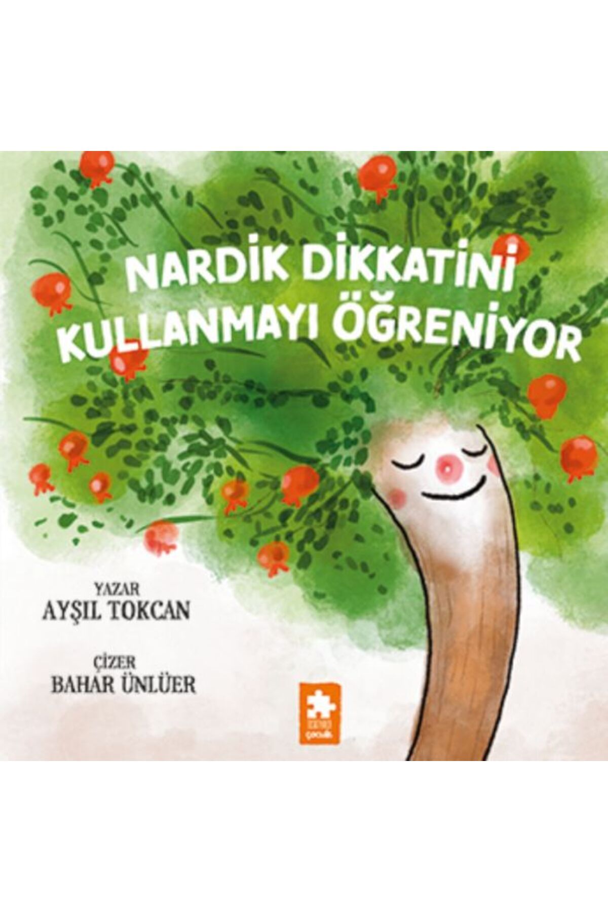 Eksik Parça Yayınları Nardik Dikkatini Kullanmayı Öğreniyor