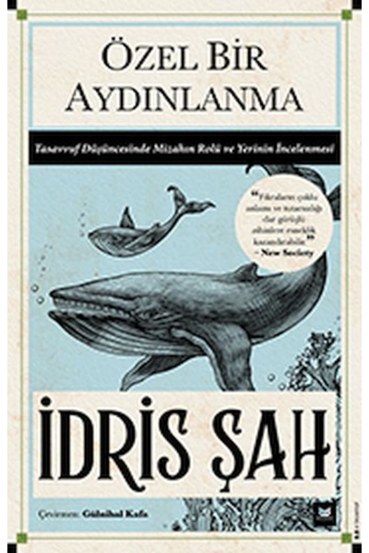 Destek Yayınları Özel Bir Aydınlanma
